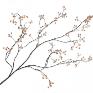 BESSENTAK GOUD 133 cm