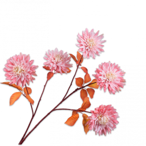 CHRYSANT ROZE
