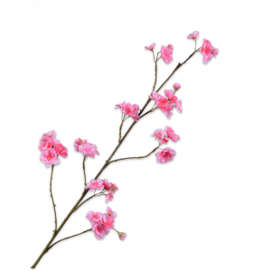 BLOESEM TAK ROZE 116CM