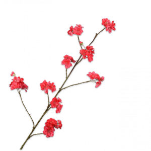 BLOESEM TAK BEAUTY 116CM