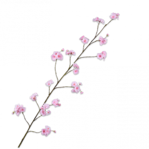 BLOESEM TAK ROZE LT 158CM