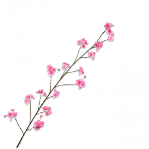 BLOESEM TAK ROZE 158CM