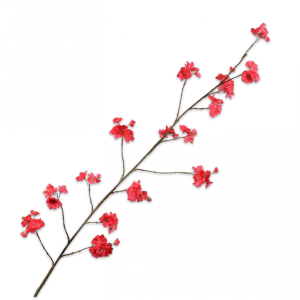 BLOESEM TAK BEAUTY 158CM