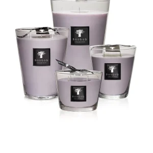 Baobab All Seasons White Rhino