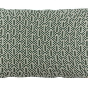 Claudi kussen Lia Green