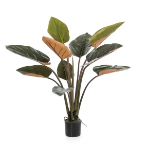 Philodendron green/burgundy 120cm.