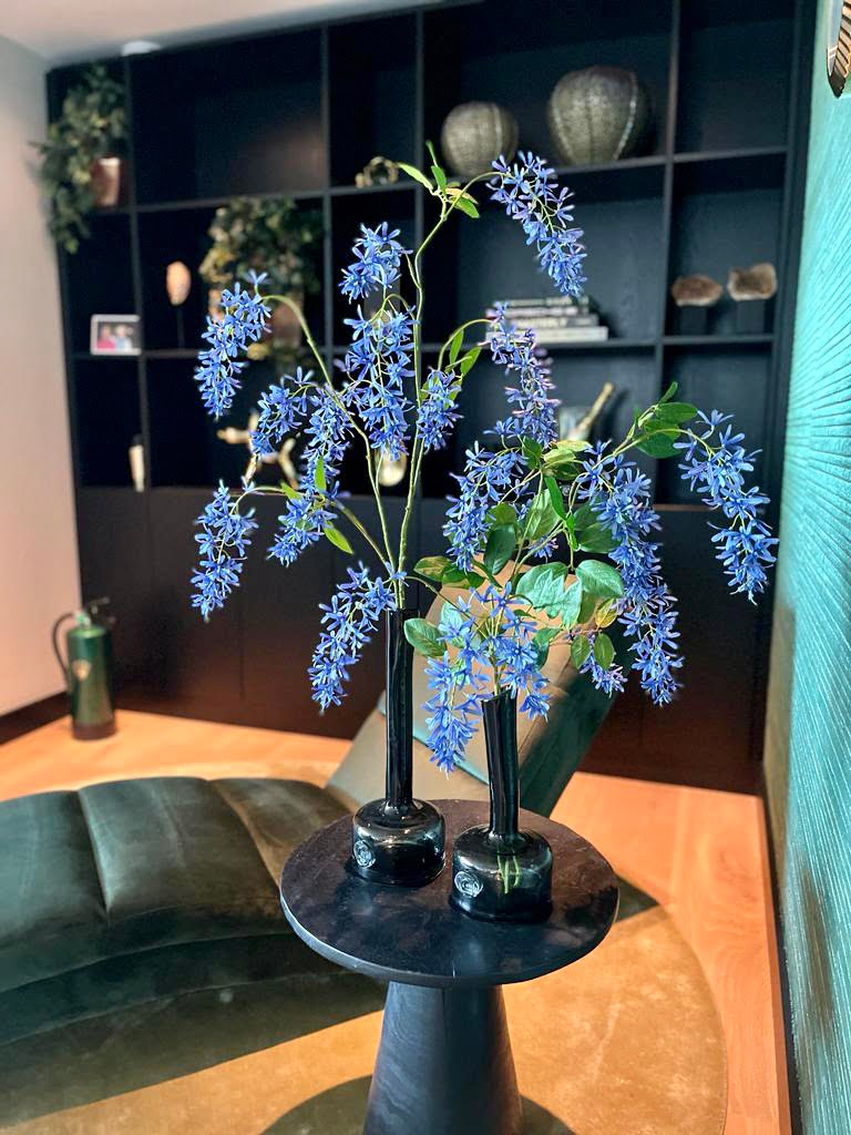 Deze afbeelding heeft een leeg alt-attribuut; de bestandsnaam is 2a2d6366-2b70-48a2-92c5-524a2da8b8eb.jpeg