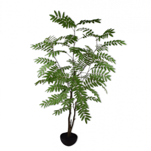 Evergreen Grace 200cm.