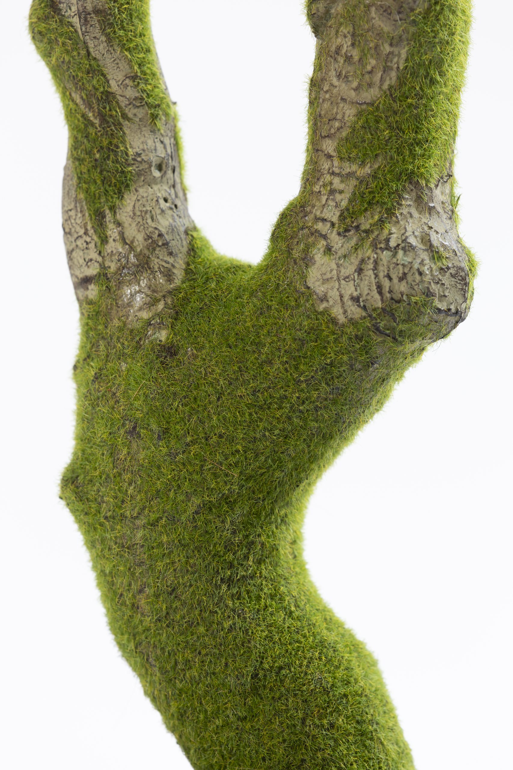 Zijden Aralia Plant – 175 cm (Kunstplant) - Afbeelding 3