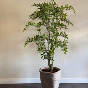 Tropische kunstplant Aralia met realistische nerven