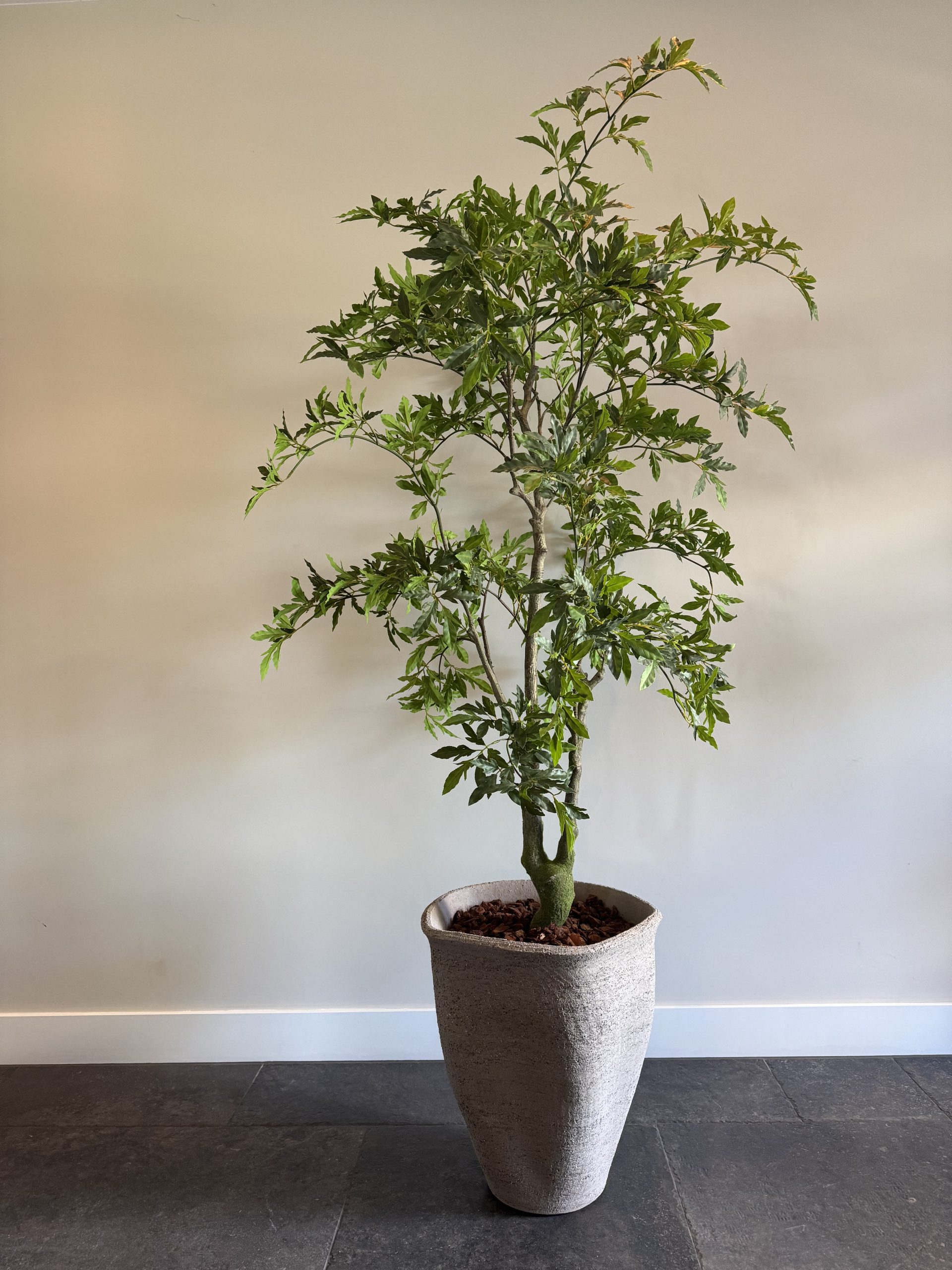 Tropische kunstplant Aralia met realistische nerven