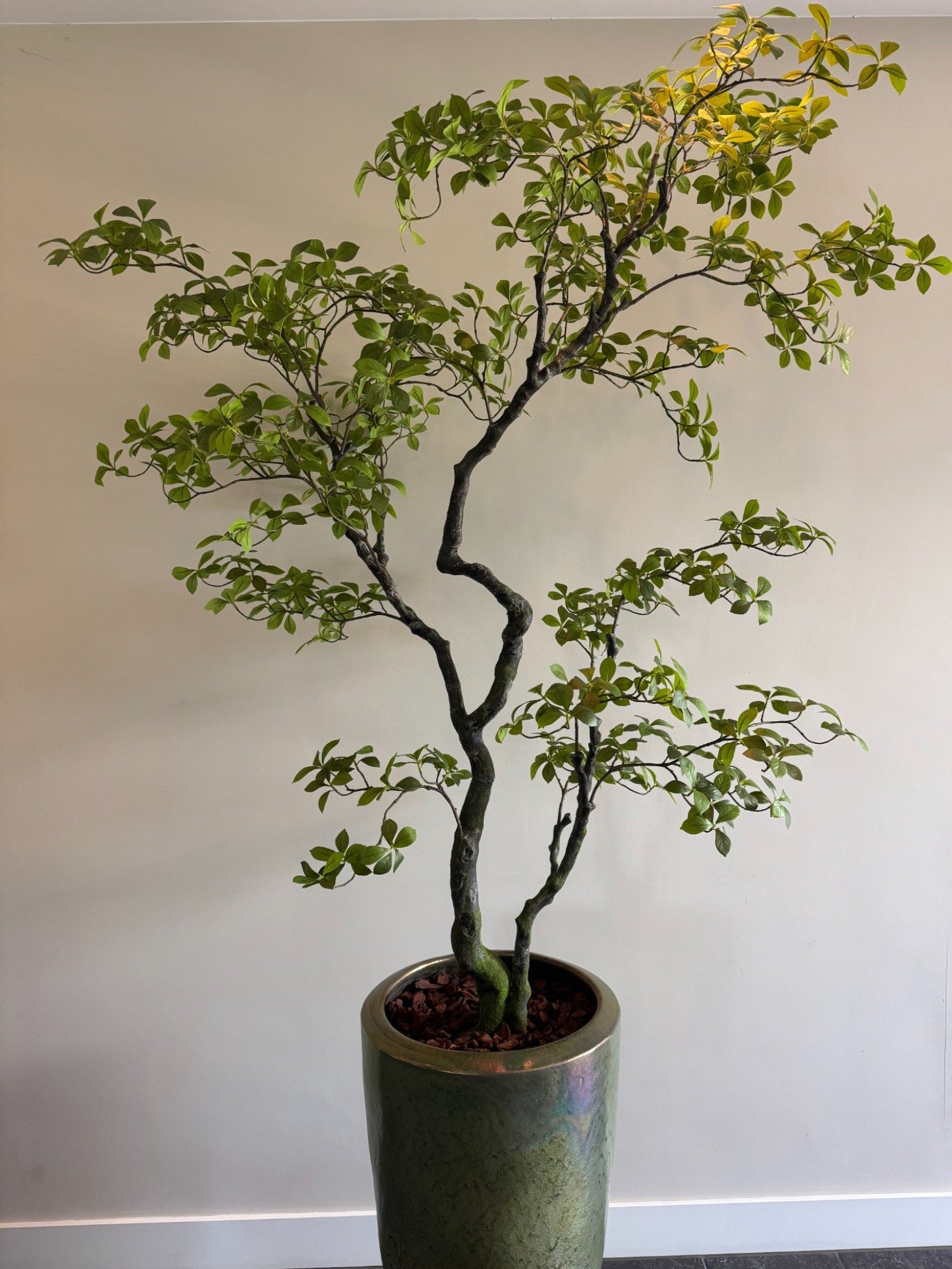 Minimalistische kunstplant met zen uitstraling