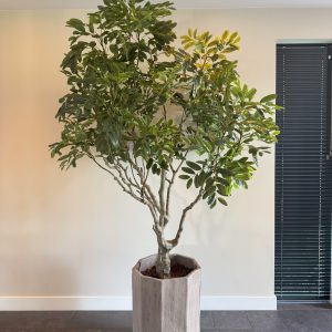 Luxe grote kunstplant geschikt voor hal of kantoorruimte