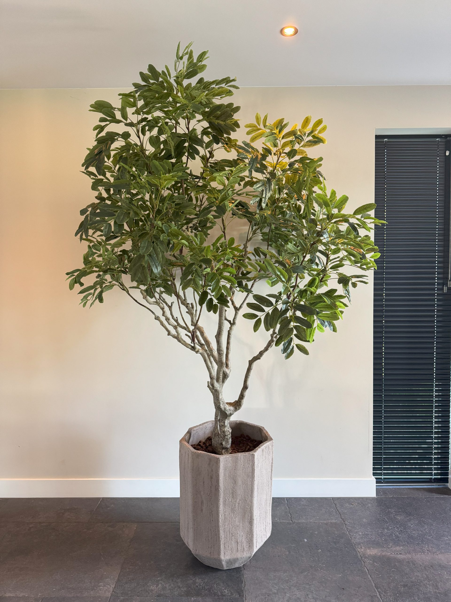 Luxe grote kunstplant geschikt voor hal of kantoorruimte