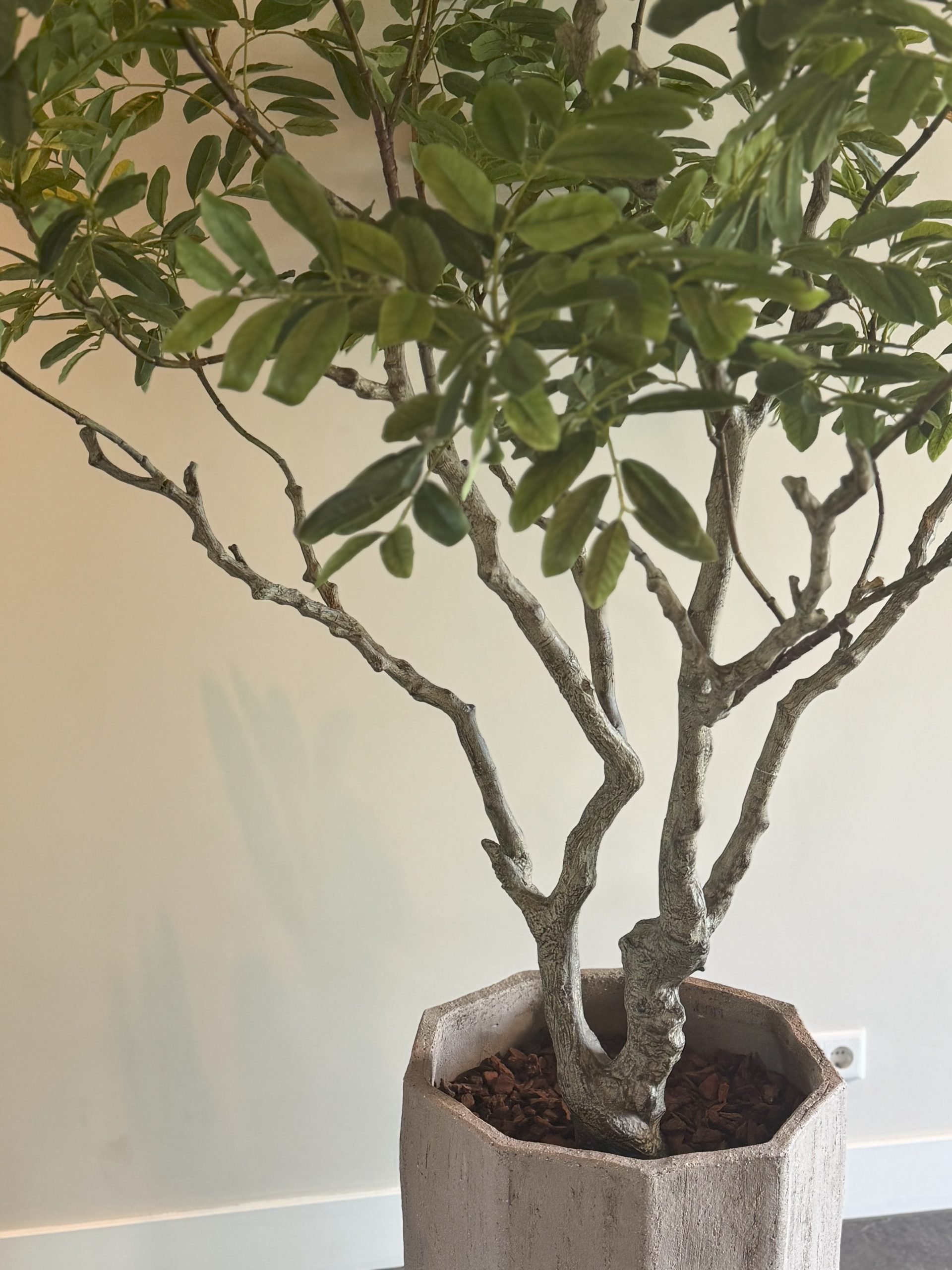 Zijden Khaya kunstplant 240 cm hoog in basispot