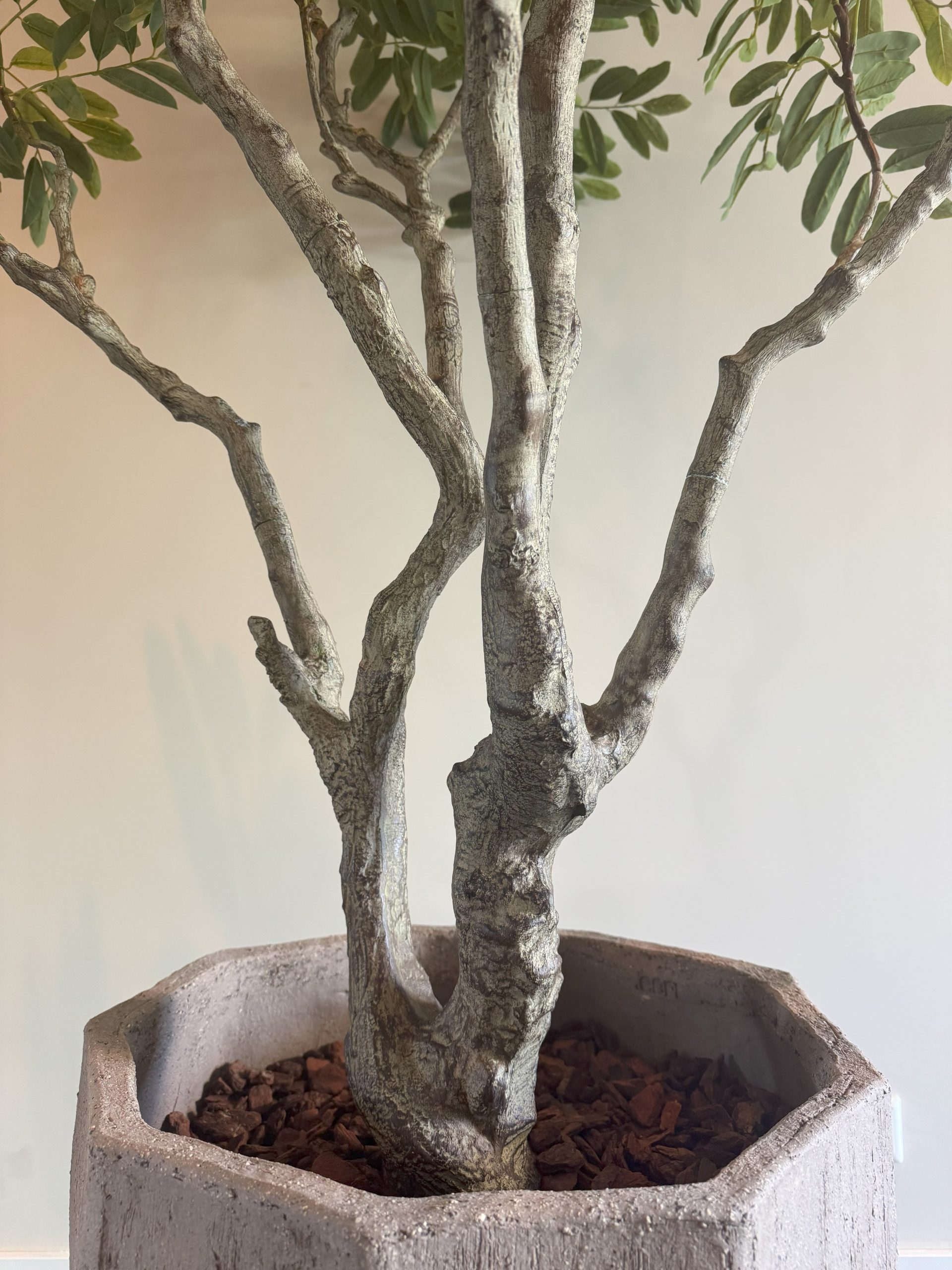 Zijden Khaya Plant – 240 cm (Grote kunstplant) - Afbeelding 5