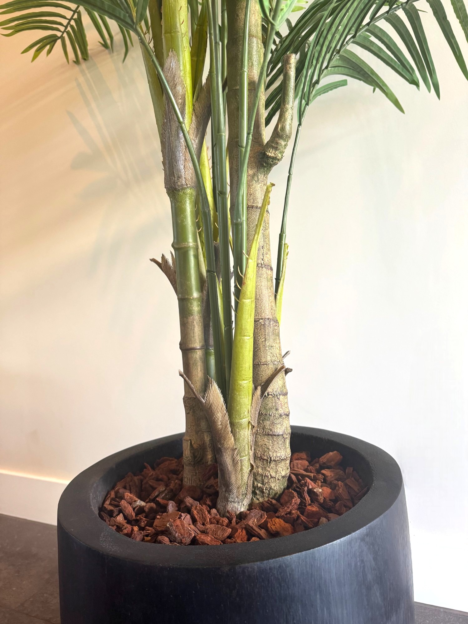 Zijden Palmboom – 250 cm (Kunstpalm) - Afbeelding 4