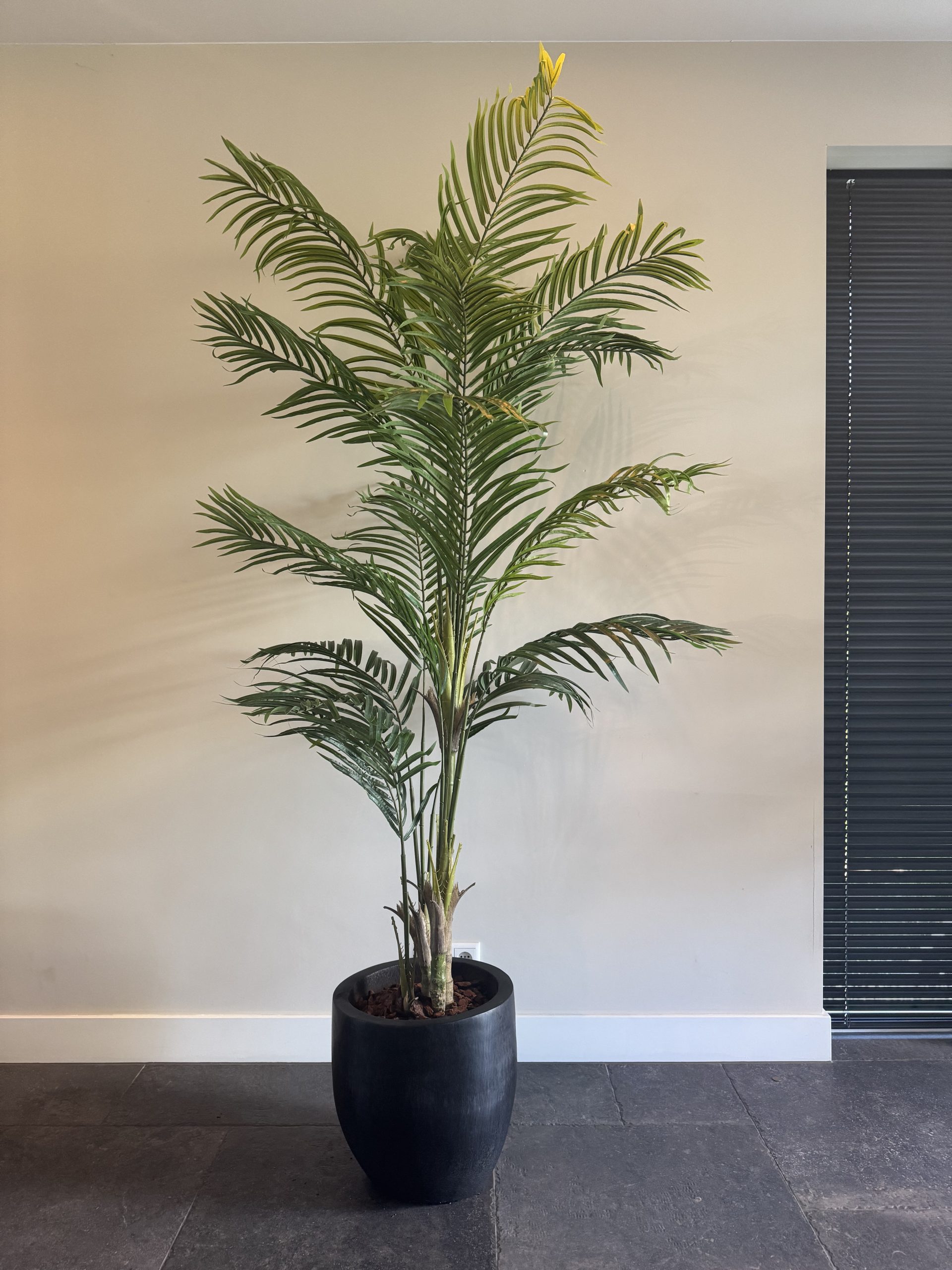 Realistische kunstpalm met volle kroon – 220 cm hoog