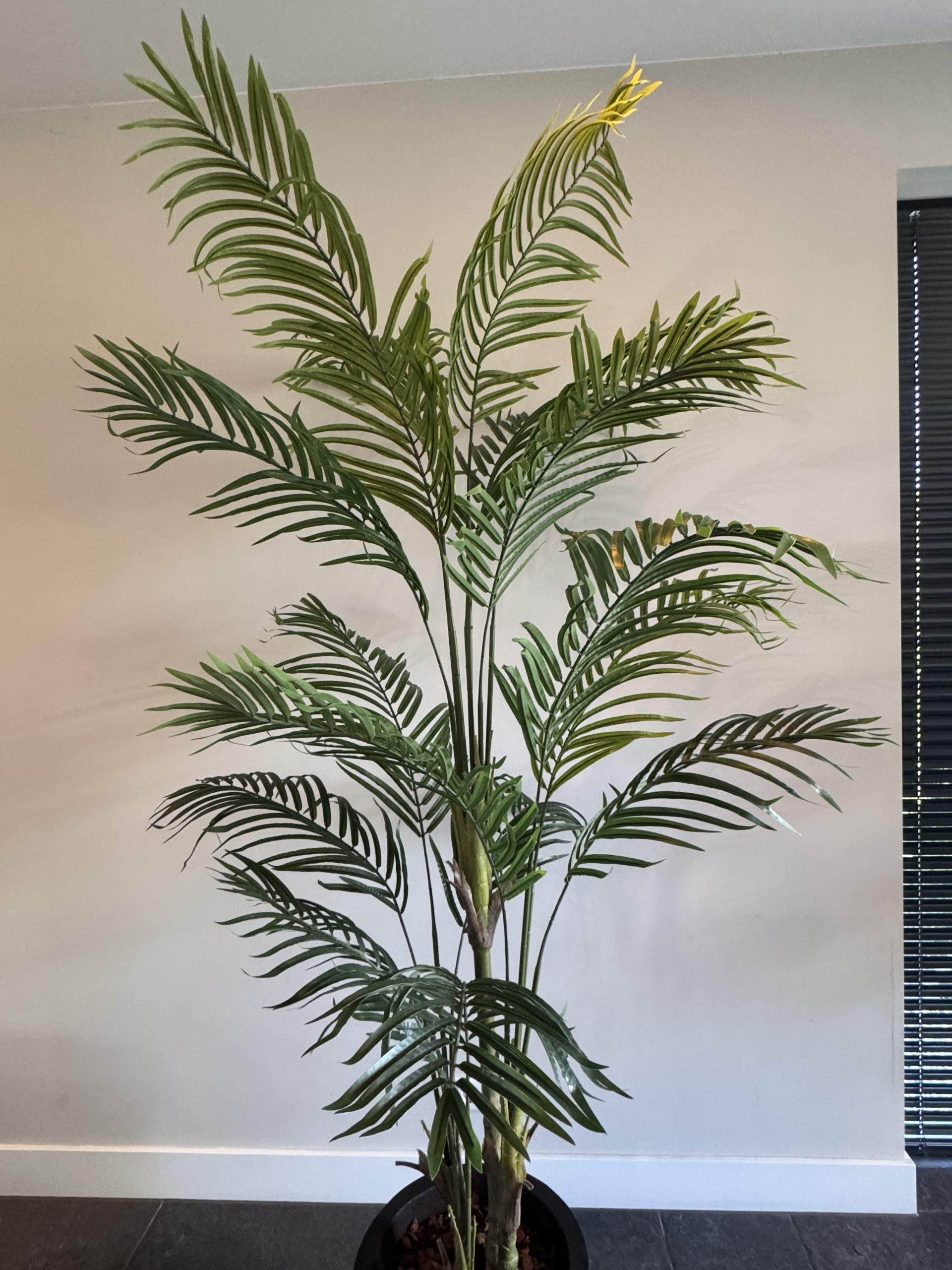 Zijden Palmboom – 220 cm (Kunstpalm) - Afbeelding 3