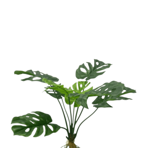 Zijden Monstera plant met grote groene bladeren in zwarte pot