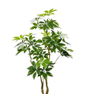 Grote kunstplant Pachira geschikt voor kantoor of woonkamer