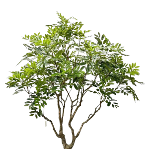 Zijden Khaya kunstplant 240 cm hoog in basispot