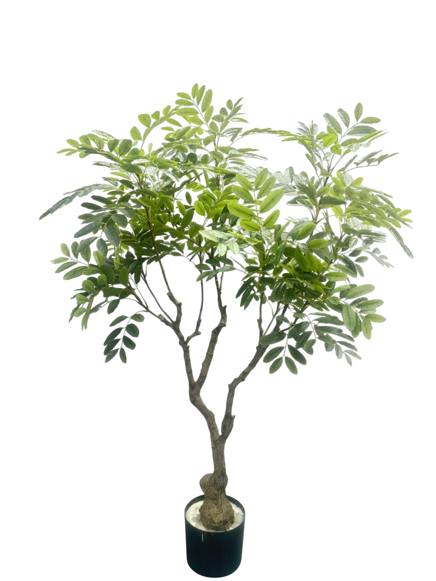 Zijden Khaya kunstplant 240 cm hoog in basispot