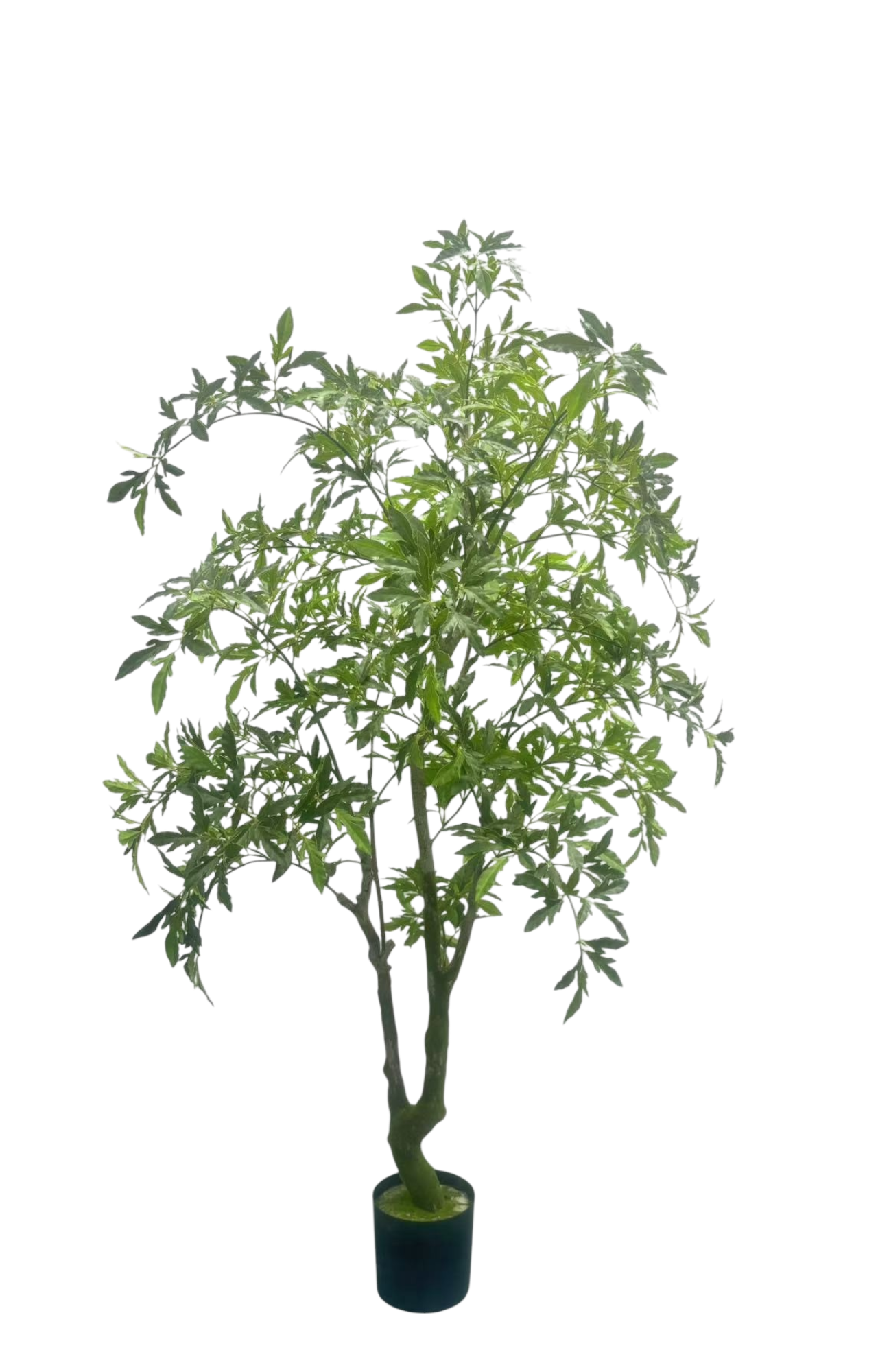 Zijden Aralia kunstplant 175 cm in basispot