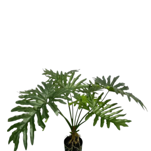 Zijden Philodendron kunstplant 80 cm in basispot