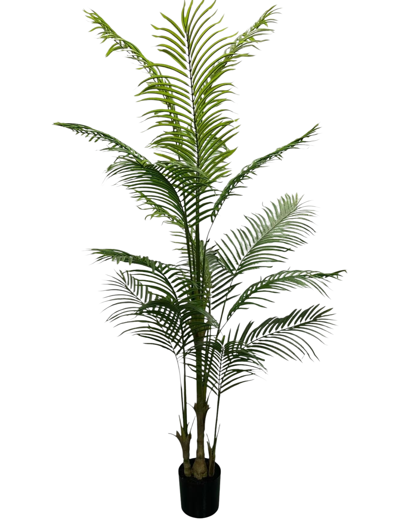 Zijden palmboom van 220 cm met tropische bladeren