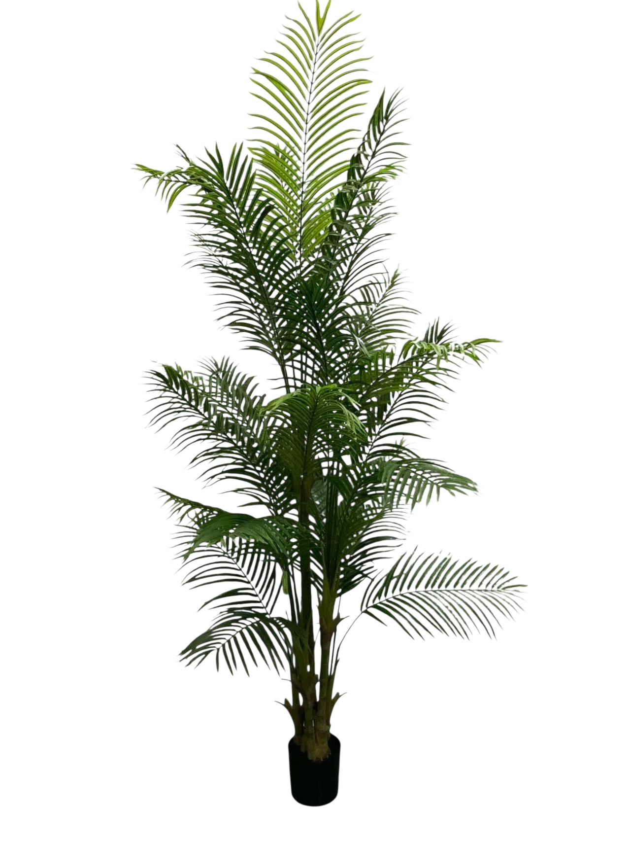 Zijden palmboom van 250 cm met tropische bladeren