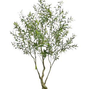 Zijden olijfboom 240 cm met grijsgroene bladeren in basispot