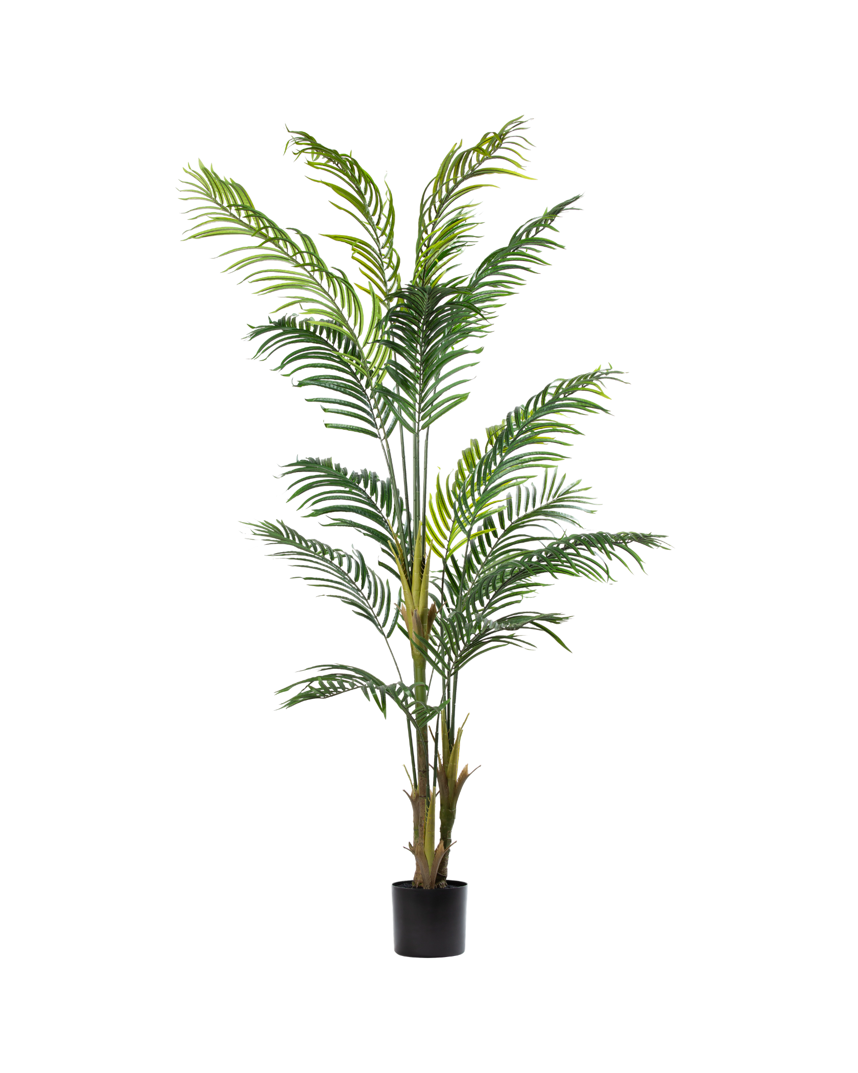 Zijden Palmboom – 220 cm (Kunstpalm)