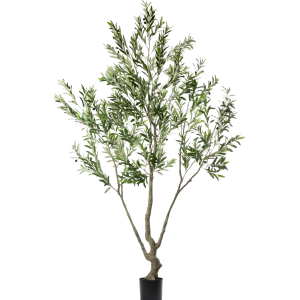 Zijden Olijfboom – 240 cm (Kunstboom)