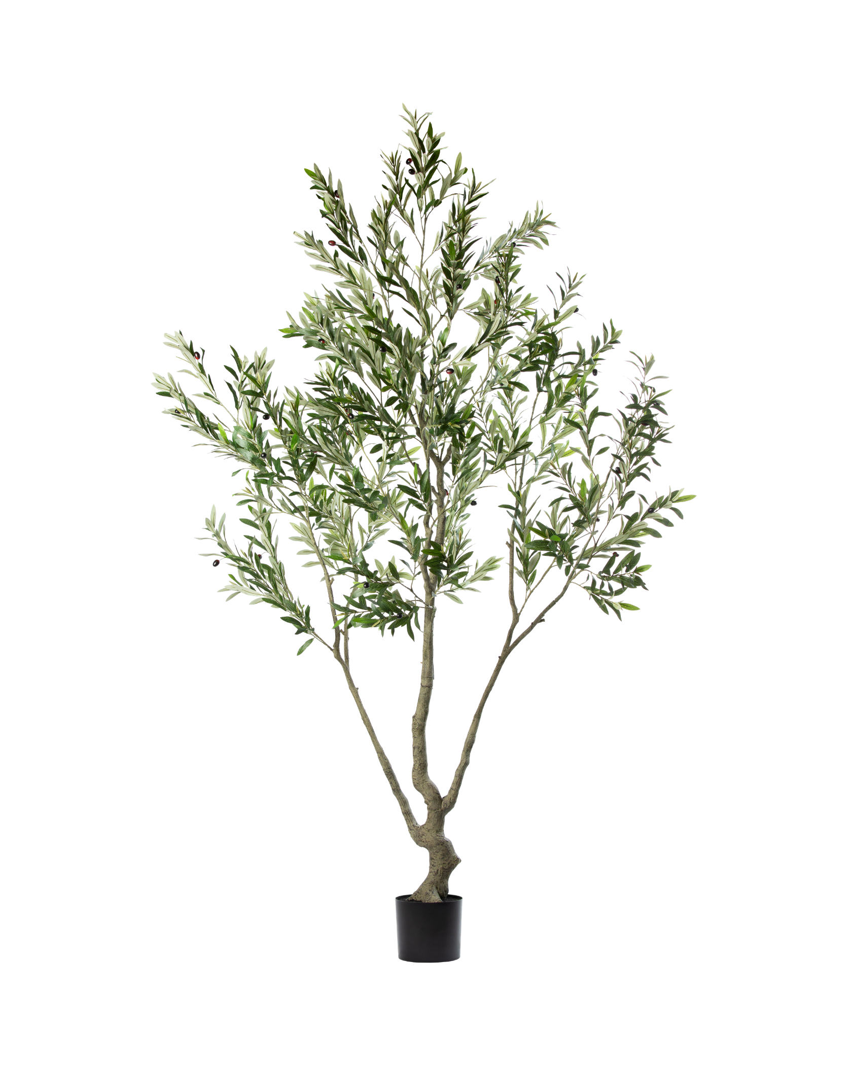 Zijden Olijfboom – 240 cm (Kunstboom)