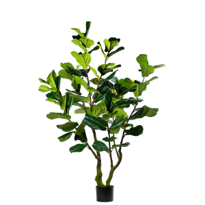 Zijden Ficus Lyrata – 220 cm