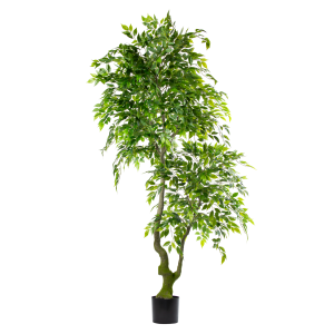 Zijden Ficus Benjamina – 210 cm