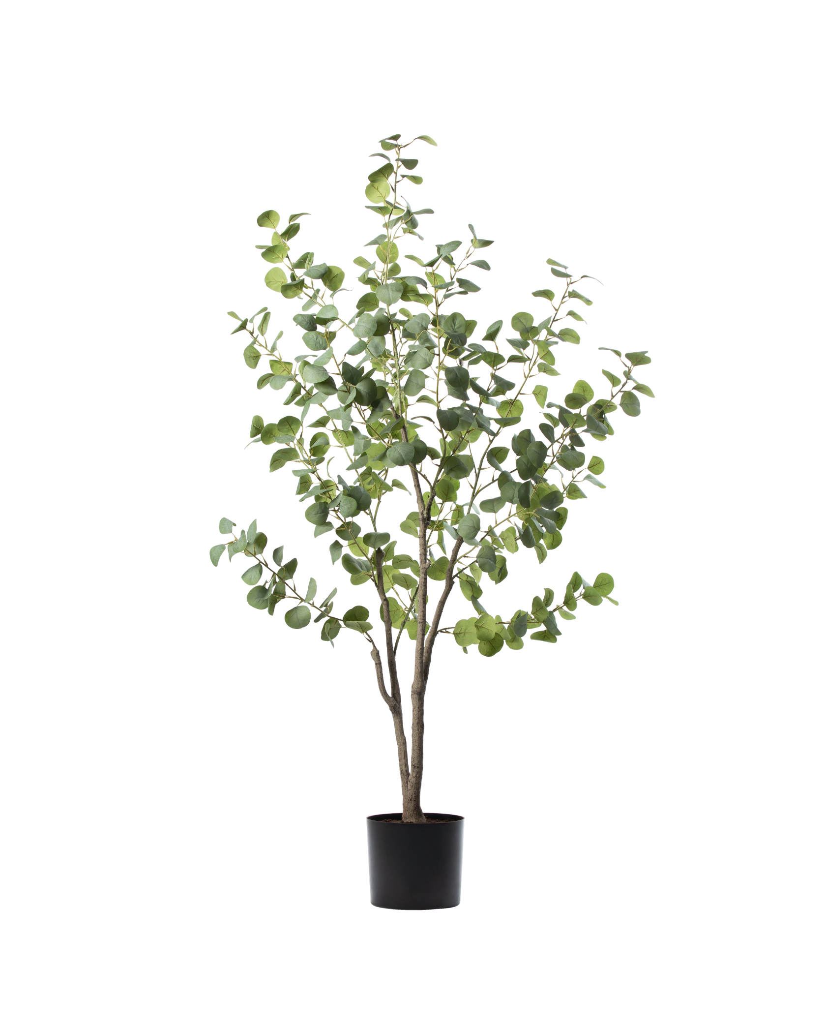 Zijden Eucalyptus Plant – 155 cm