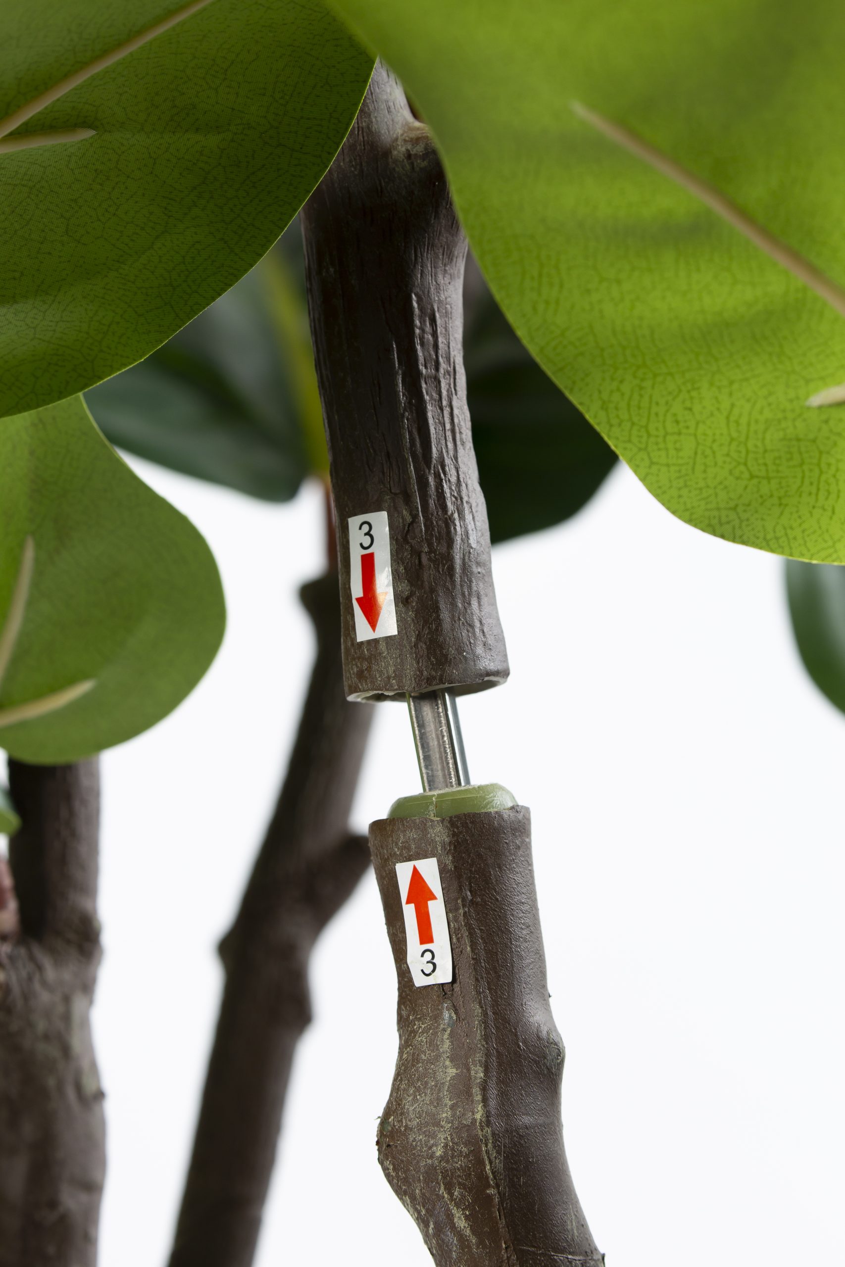Zijden Ficus Lyrata – 220 cm - Afbeelding 6
