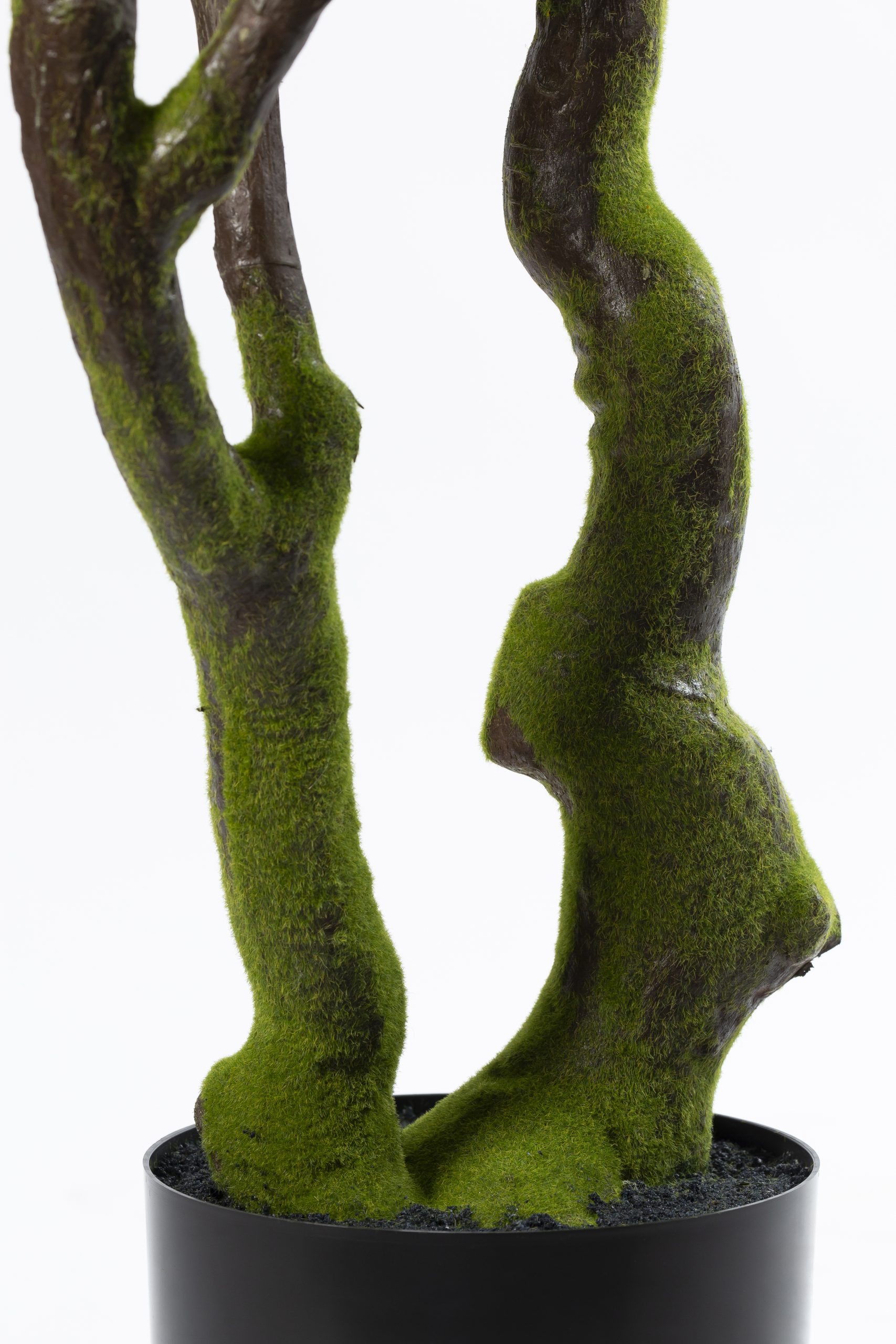 Zijden Ficus Lyrata – 220 cm - Afbeelding 2
