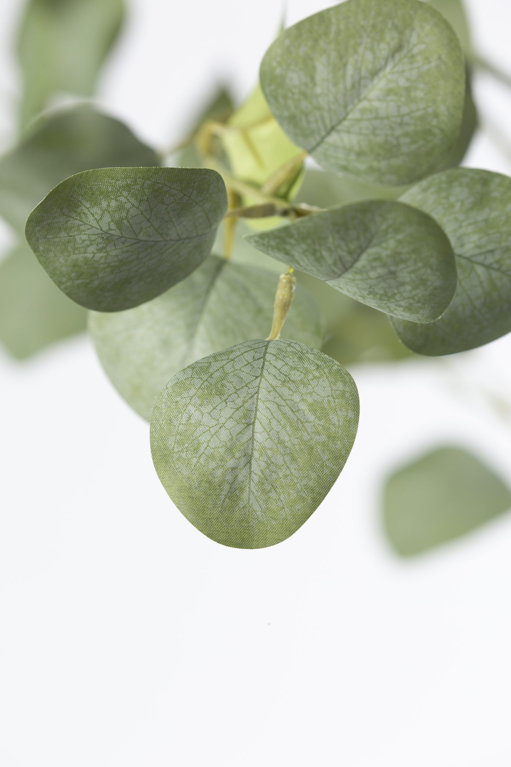 Zijden Eucalyptus Plant – 155 cm - Afbeelding 2