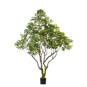 Zijden Khaya Plant – 240 cm (Grote kunstplant)