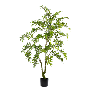 Zijden Aralia Plant – 175 cm (Kunstplant)