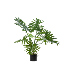 Zijden Philodendron – 80 cm (Kunstplant)