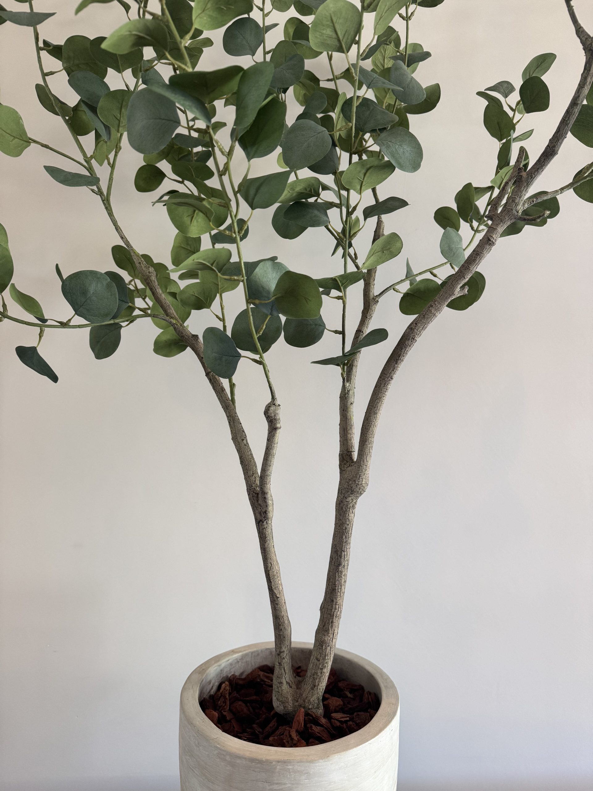 Realistische eucalyptus kunstplant – 155 cm hoog