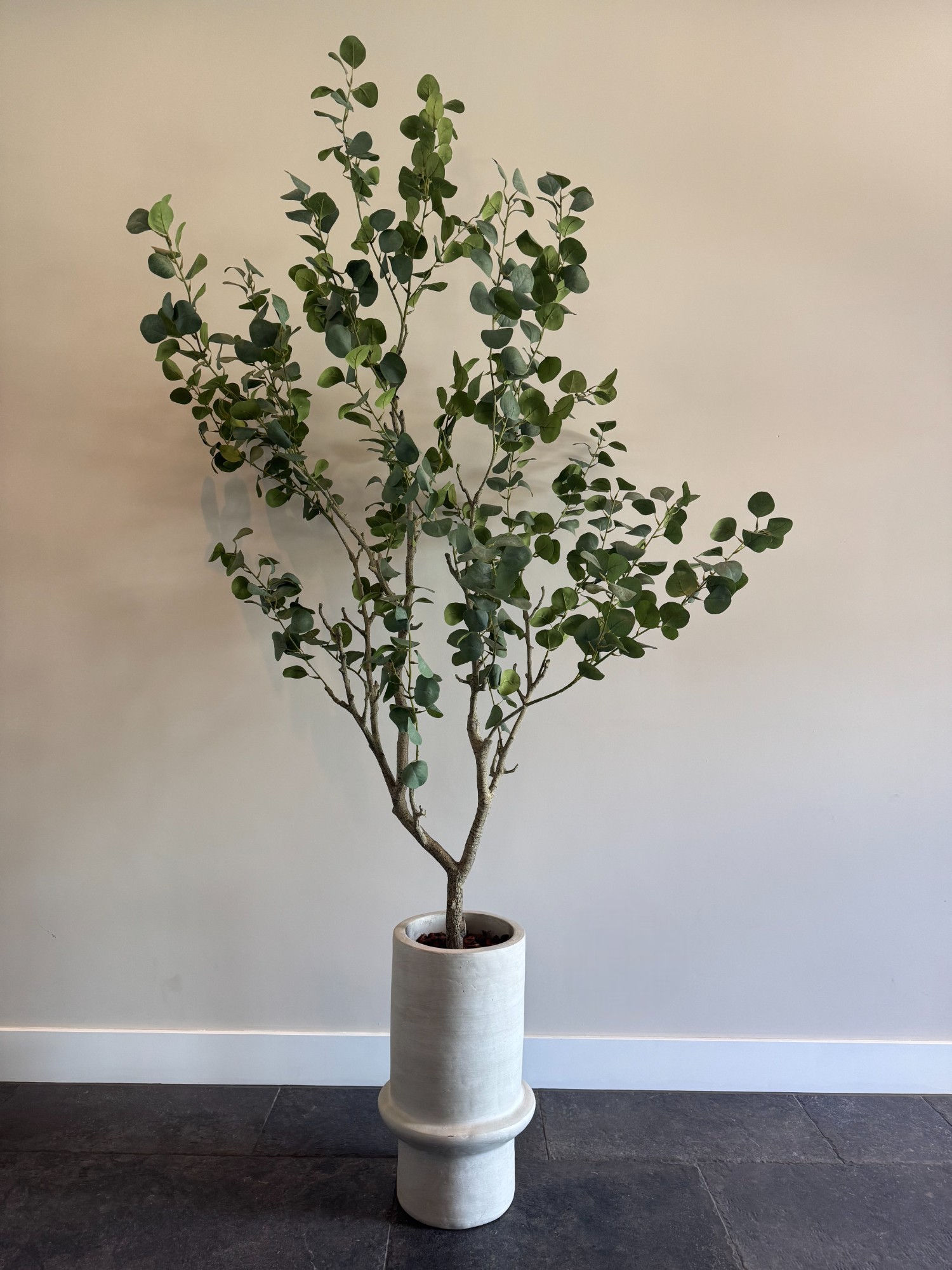 Realistische eucalyptus kunstplant – 155 cm hoog