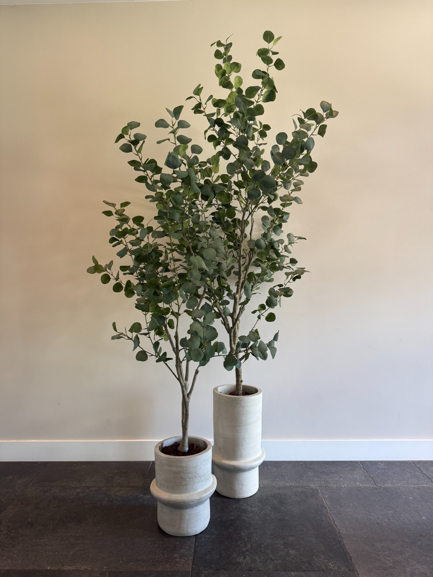 Grijsgroene zijden eucalyptus voor modern interieur