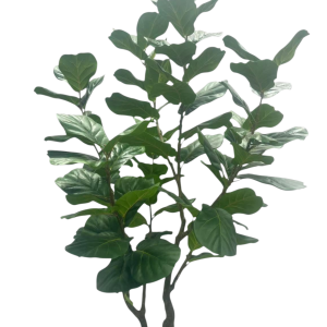 Zijden Ficus Lyrata 220 cm – kunstplant met vioolvormige bladeren