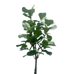 Realistische Ficus kunstplant – 200 cm hoog – onderhoudsvrij
