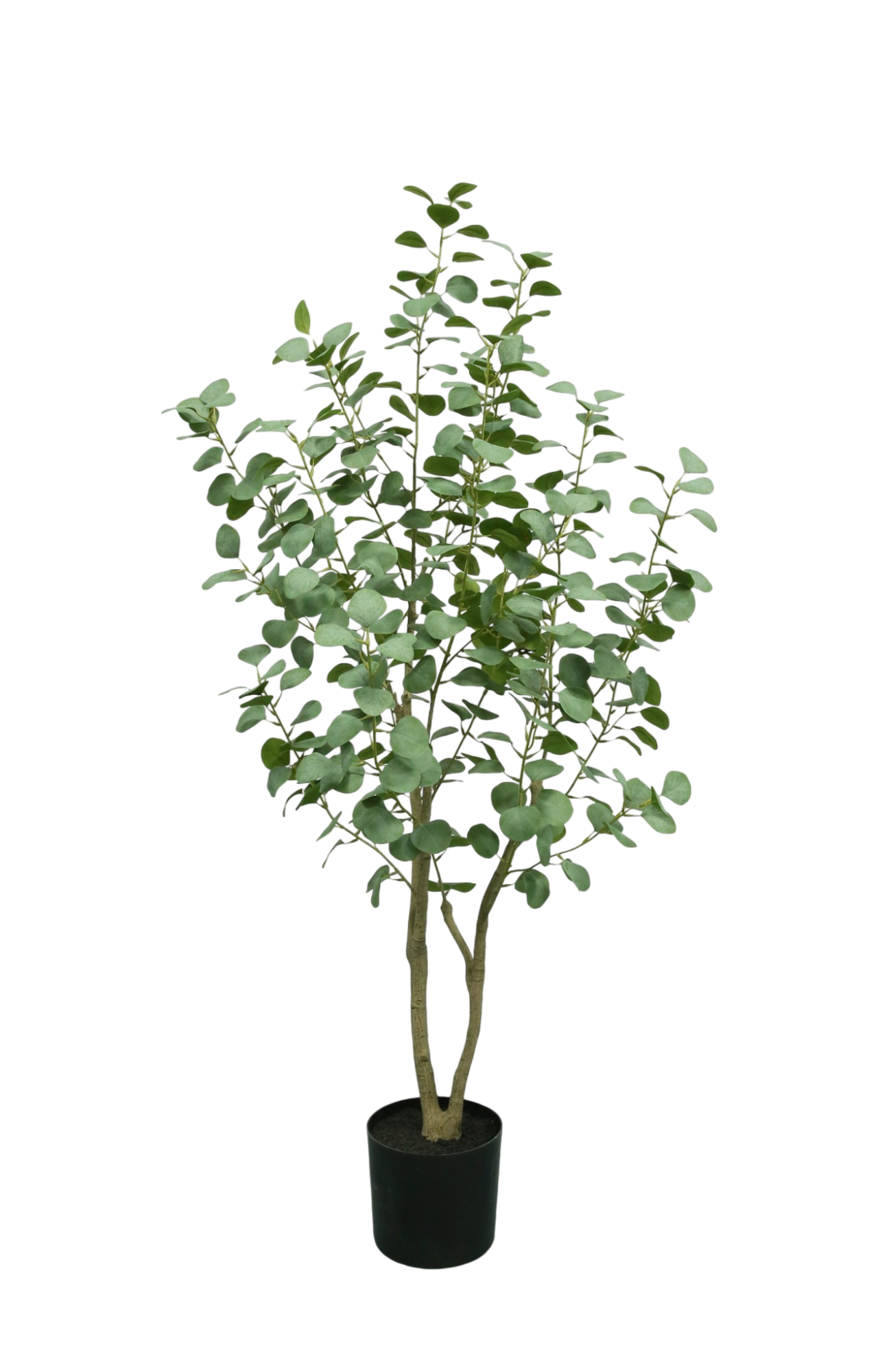 Zijden eucalyptus plant 155 cm met grijsgroene bladeren